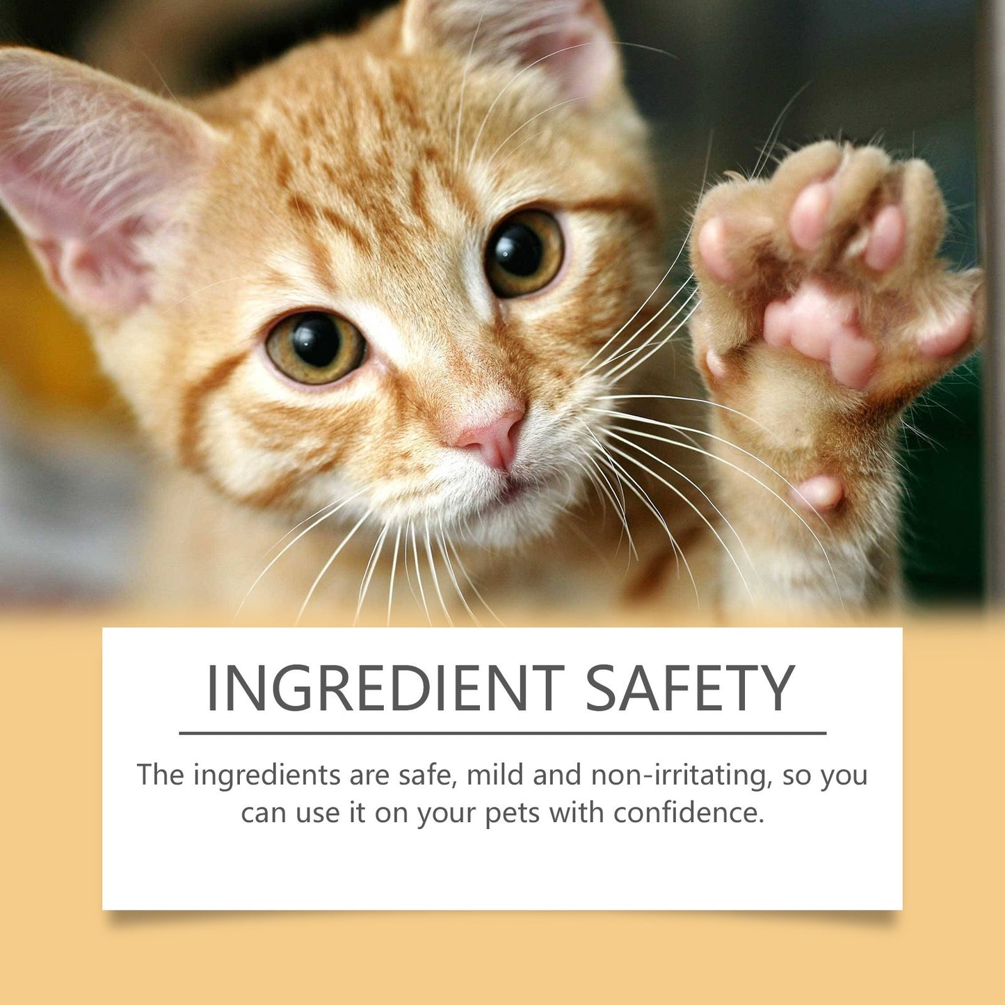 Pet Paw Care Balm Stick – Moisturizing Paw Protector Against Cracks