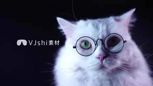 Halloween Pet Cloak – Cute & High-Quality Costume for Dogs & Cats