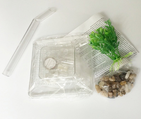 Aquário autolimpante My Fun Fish, conjunto completo para oferta, volume de 1 litro, conjunto adorável e fofo