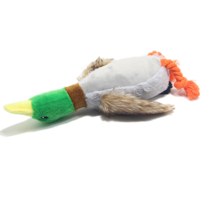 Plush Wild Duck Squeaky chien jouet pour interactif Play