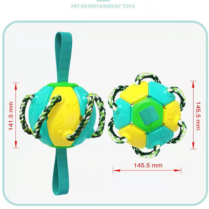 Interactif chien Flying Disc jouet pour d’extérieur Fetch et dressage