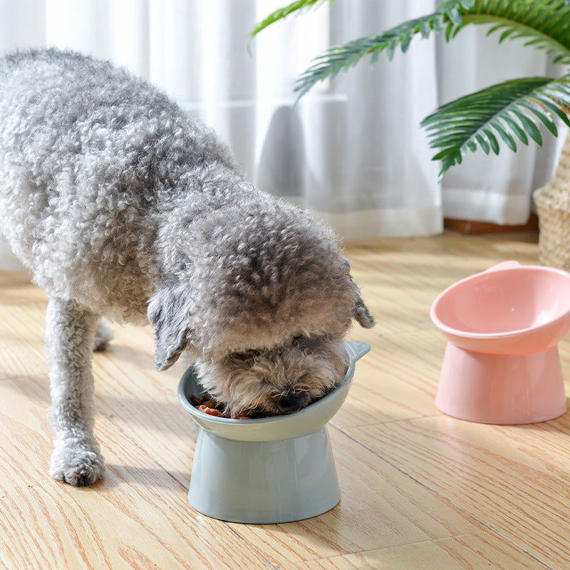 Tigela Elevada Inclinada para Gatos para Ração e Água, Comedouro para Pets Confortável para o pescoço
