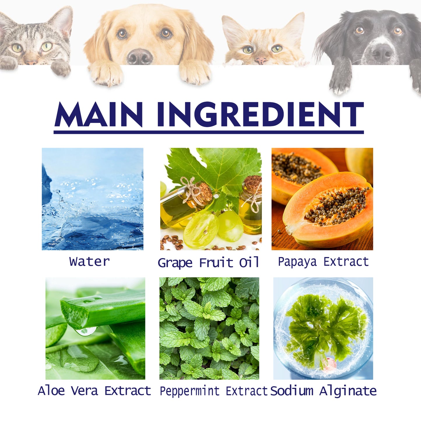 Pet V34 Toothpaste, Pet Clean Bad Breath Tartar Care Gum Care Toothpaste