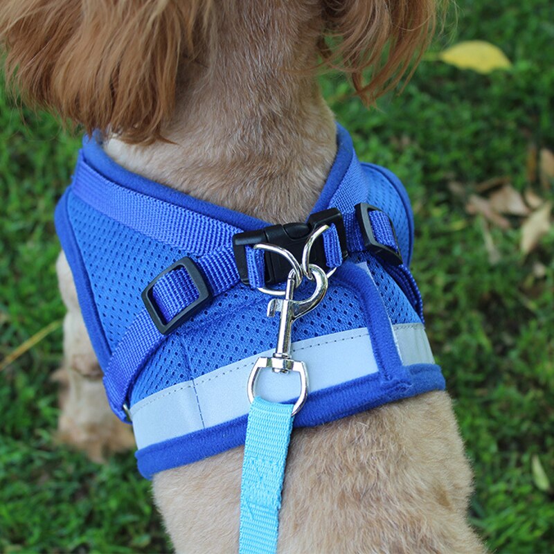Conjunto de Coleira e Trela Refletor para Cães Pequenos e Médios