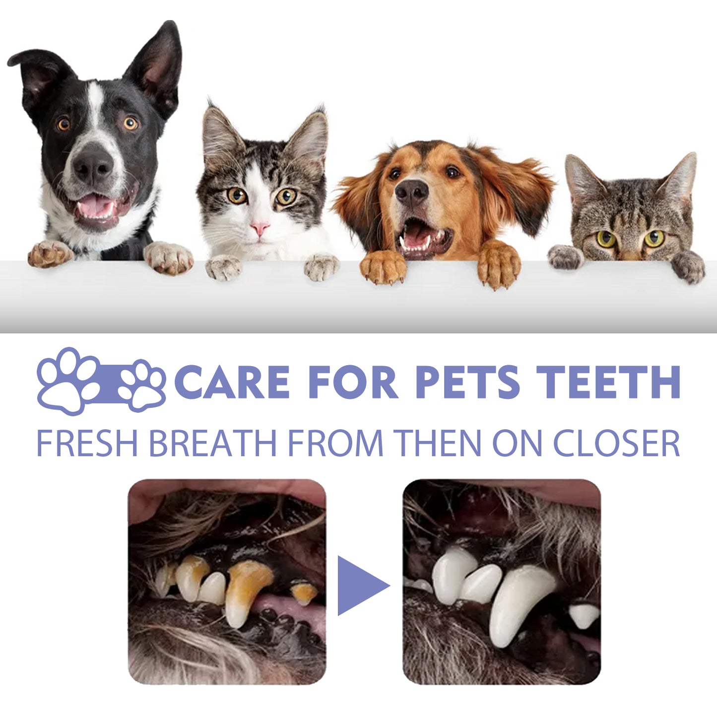Pet Dental Spray – Tooth Cleaning & Fresh Breath for Cats & Dogs