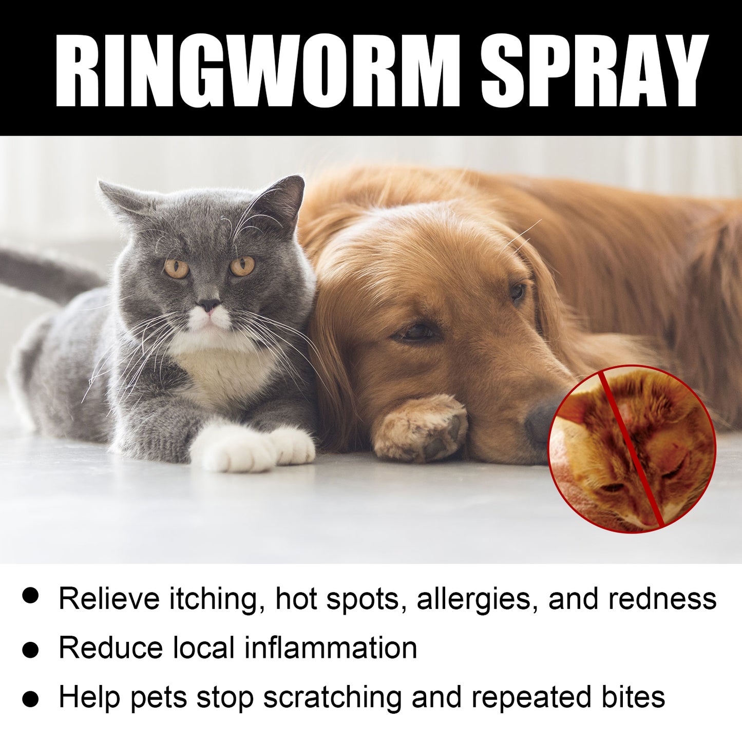 Cat Ringworm Spray – Anti-Mite & Anti-Itch Skin Treatment for Cats