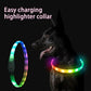 Collier lumineux de sécurité pour chien avec LED rechargeable par USB