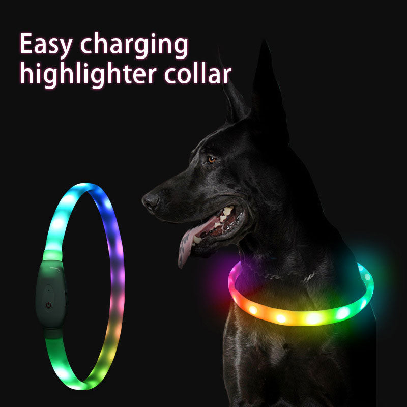 Collier lumineux de sécurité pour chien avec LED rechargeable par USB