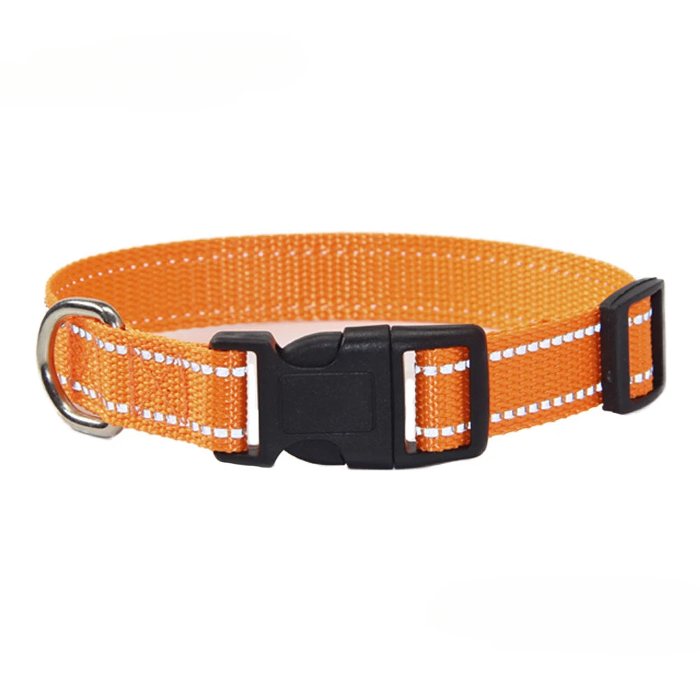 Conjunto de Trela e Coleira de Nylon para Cães Pequenos, Médios e Grandes