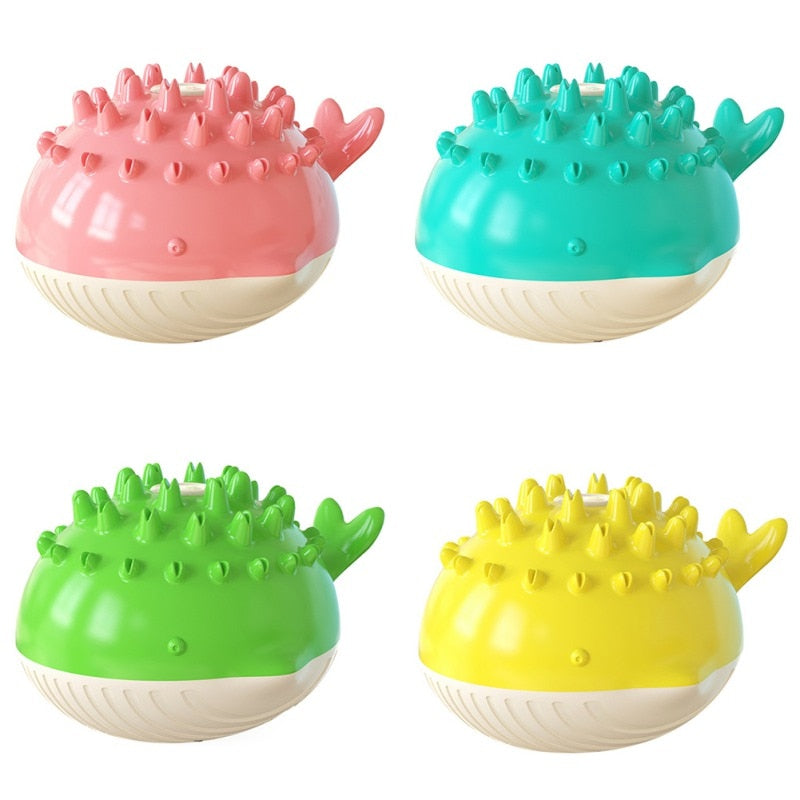 Floating Crocodile chien Water jouet avec Squeaker et Dental Cleaning Design