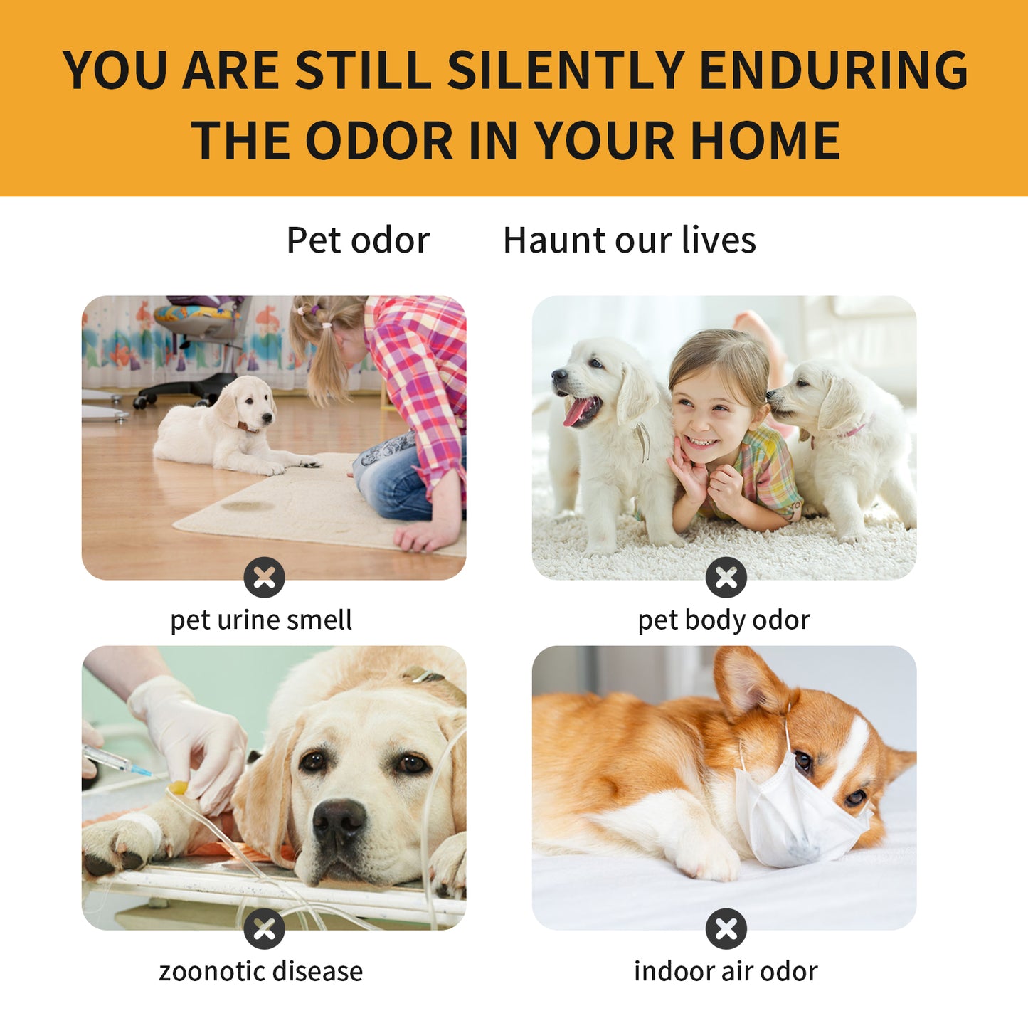 Pet Fabric Deodorizer Spray – Long-Lasting Fresh Air and Odor Control for Pets and Indoor Spaces