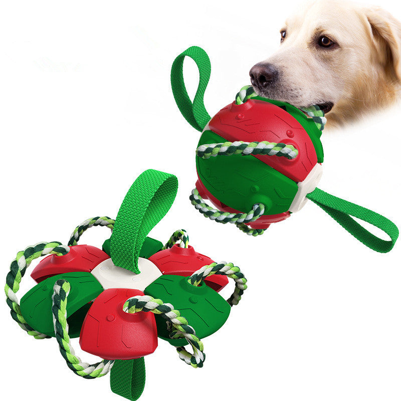 Interactif chien Flying Disc jouet pour d’extérieur Fetch et dressage