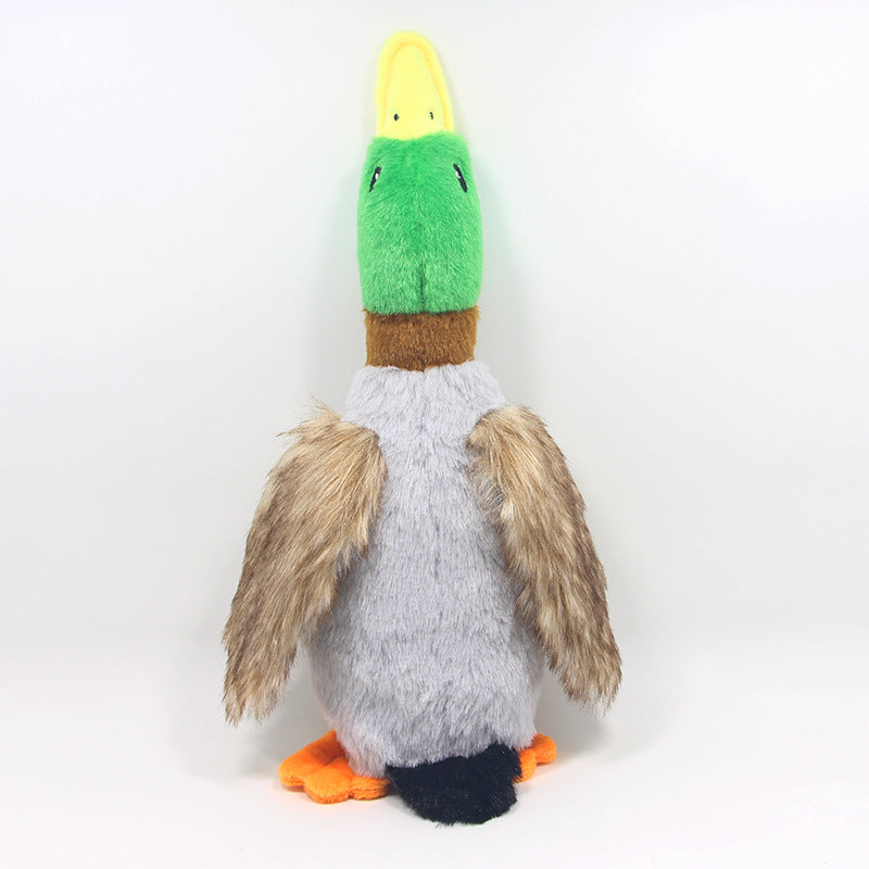 Plush Wild Duck Squeaky chien jouet pour interactif Play