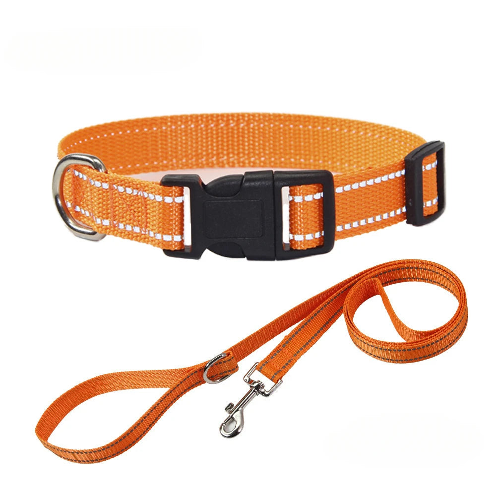 Conjunto de Trela e Coleira de Nylon para Cães Pequenos, Médios e Grandes