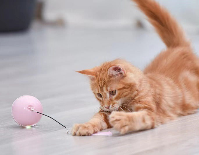 Automatic Cat Smart Toy ball