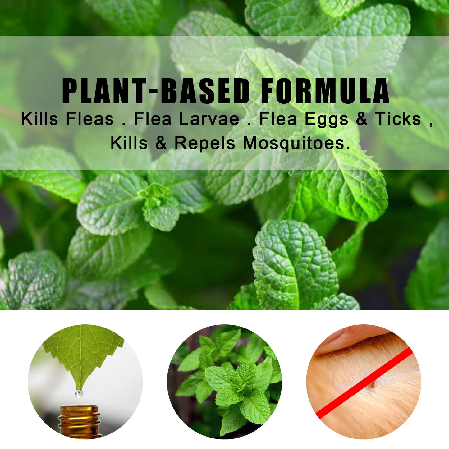 Peppermint Pet Repellent Spray – Mite and Fungus Control for Dogs and Cats