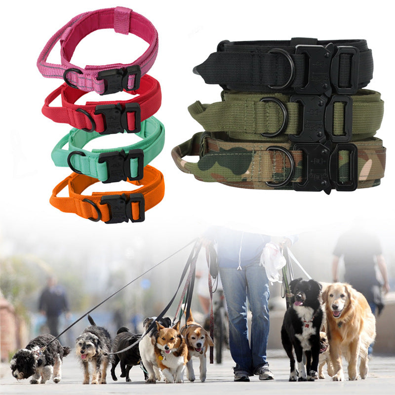 Tactical chien collier et laisse Set, d’extérieur dressage Walking Gear pour chiens