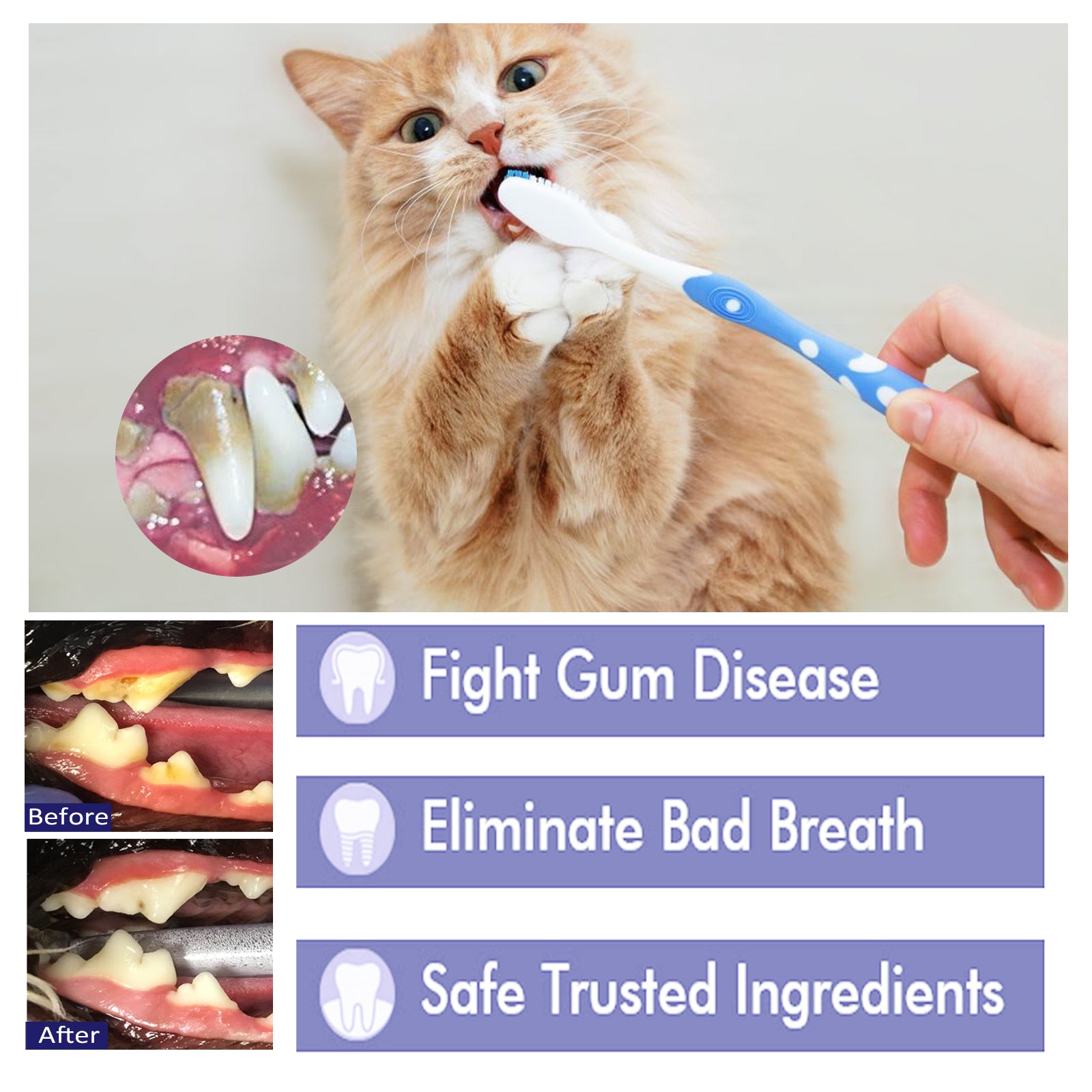 Pasta de Dentes Pet V34 para Cães e Gatos, Cuidados Dentários para Hálito, Gengivas e Tártaro