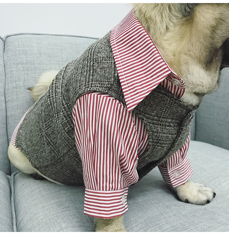 Fato/Smoking Formal para Cães e Gatos Pequenos, Roupa de Festa de Casamento