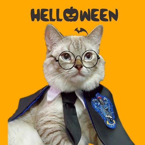 Halloween Pet Cloak – Cute & High-Quality Costume for Dogs & Cats