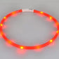 Collier lumineux de sécurité pour chien avec LED rechargeable par USB