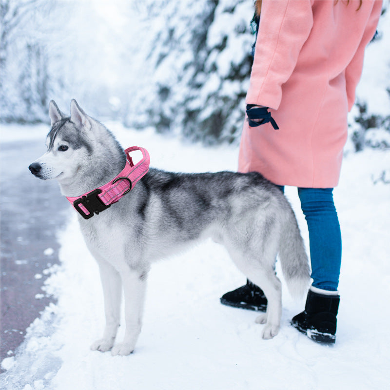 Conjunto Tático de Coleira e Trela para Cães, Equipamento de Treino e Passeio ao Ar Livre para Cães
