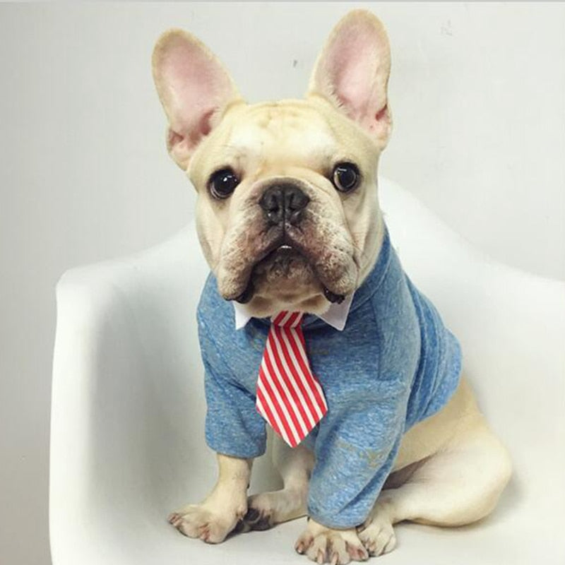 Gravata Borboleta Formal para Cães e Gatos, Acessório de Traje Elegante