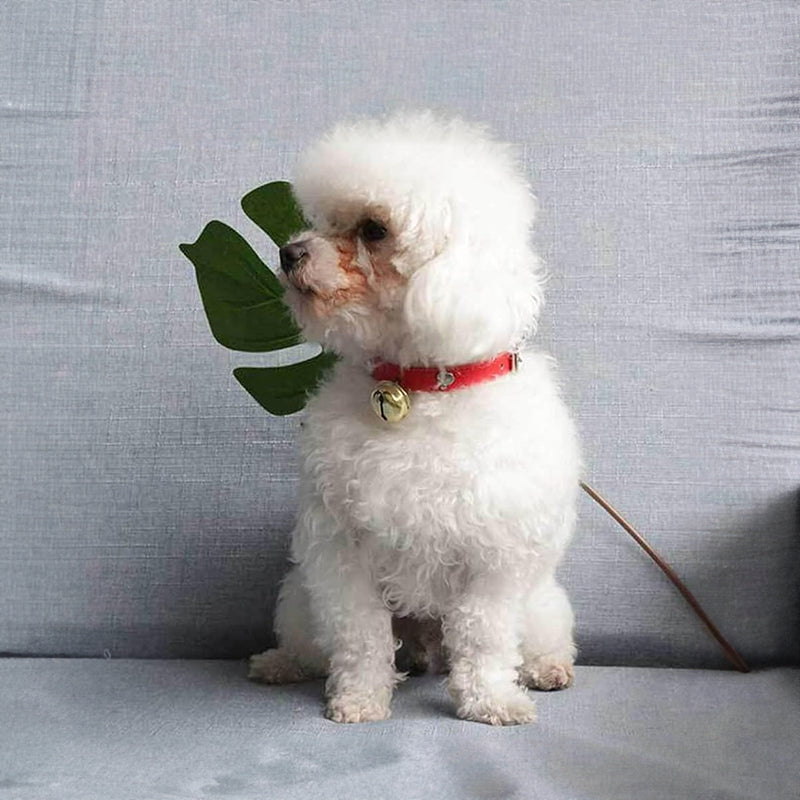 Campainhas de Liga, com Padrão de Osso e de Pata, para Coleiras de Cão e de Gato