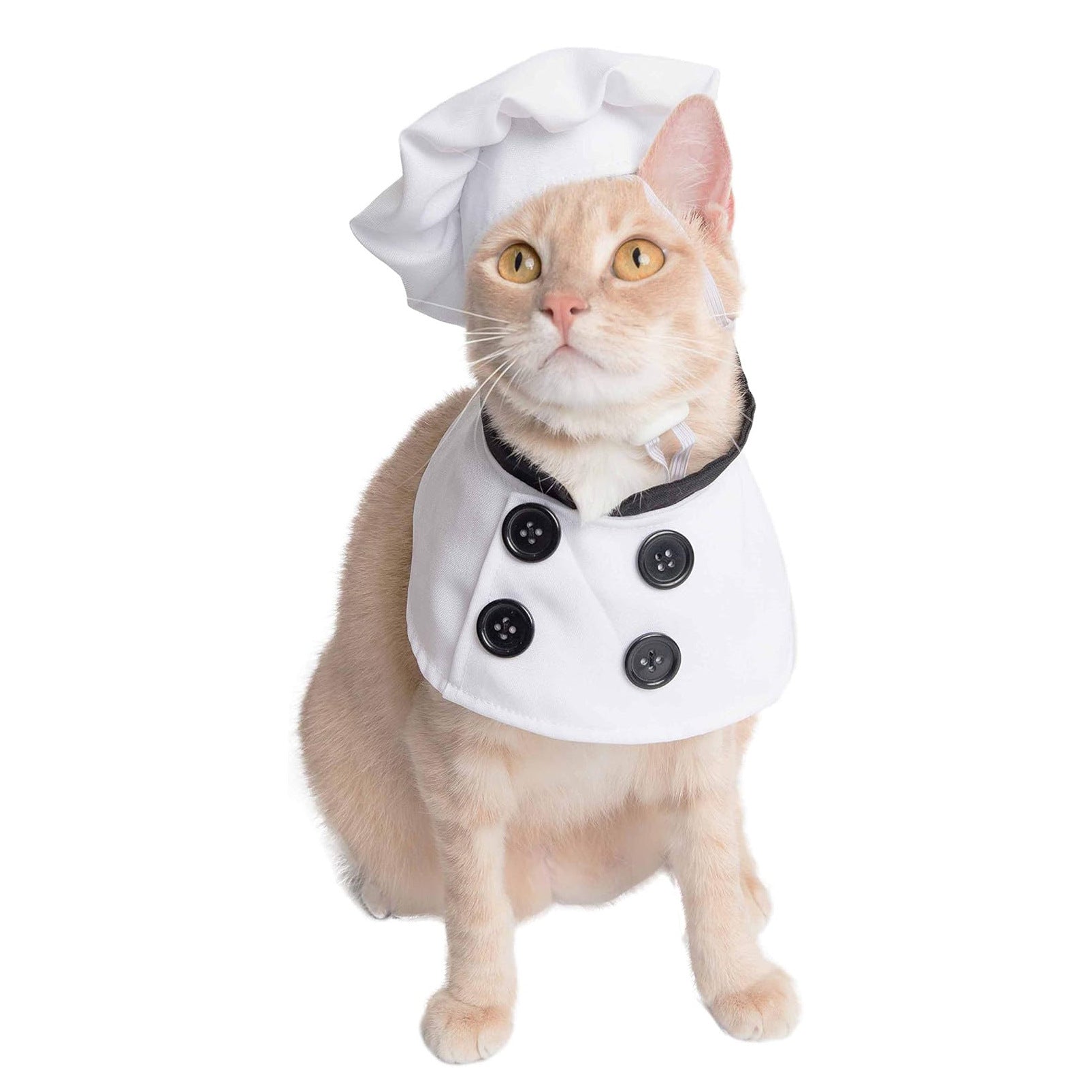 Chien Chef Costume avec Hat, Funny animal Cosplay Outfit