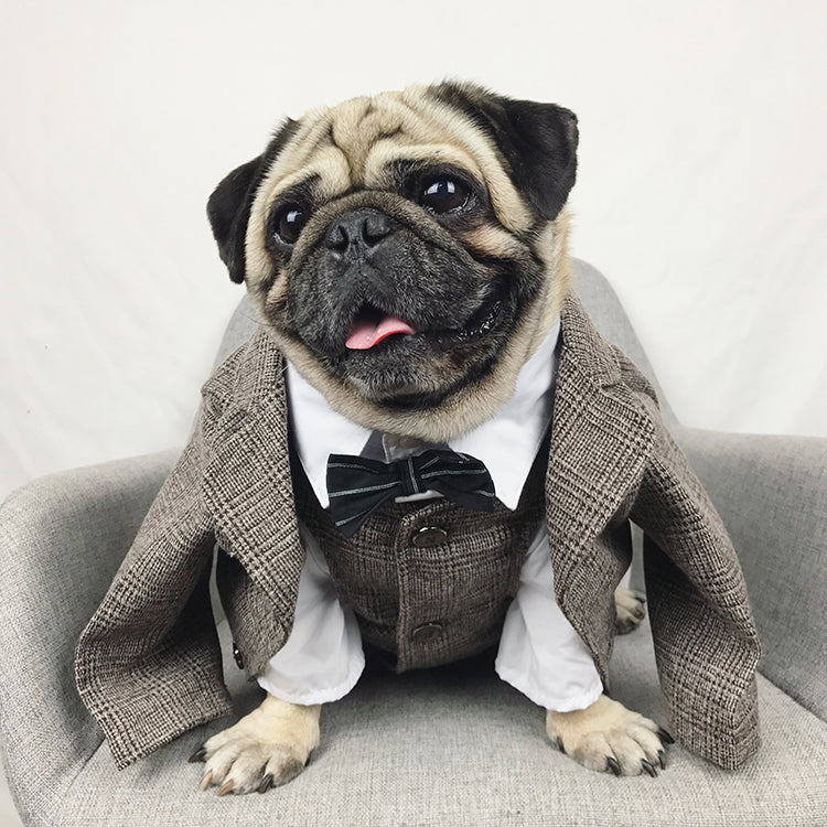 Fato/Smoking Formal para Cães e Gatos Pequenos, Roupa de Festa de Casamento