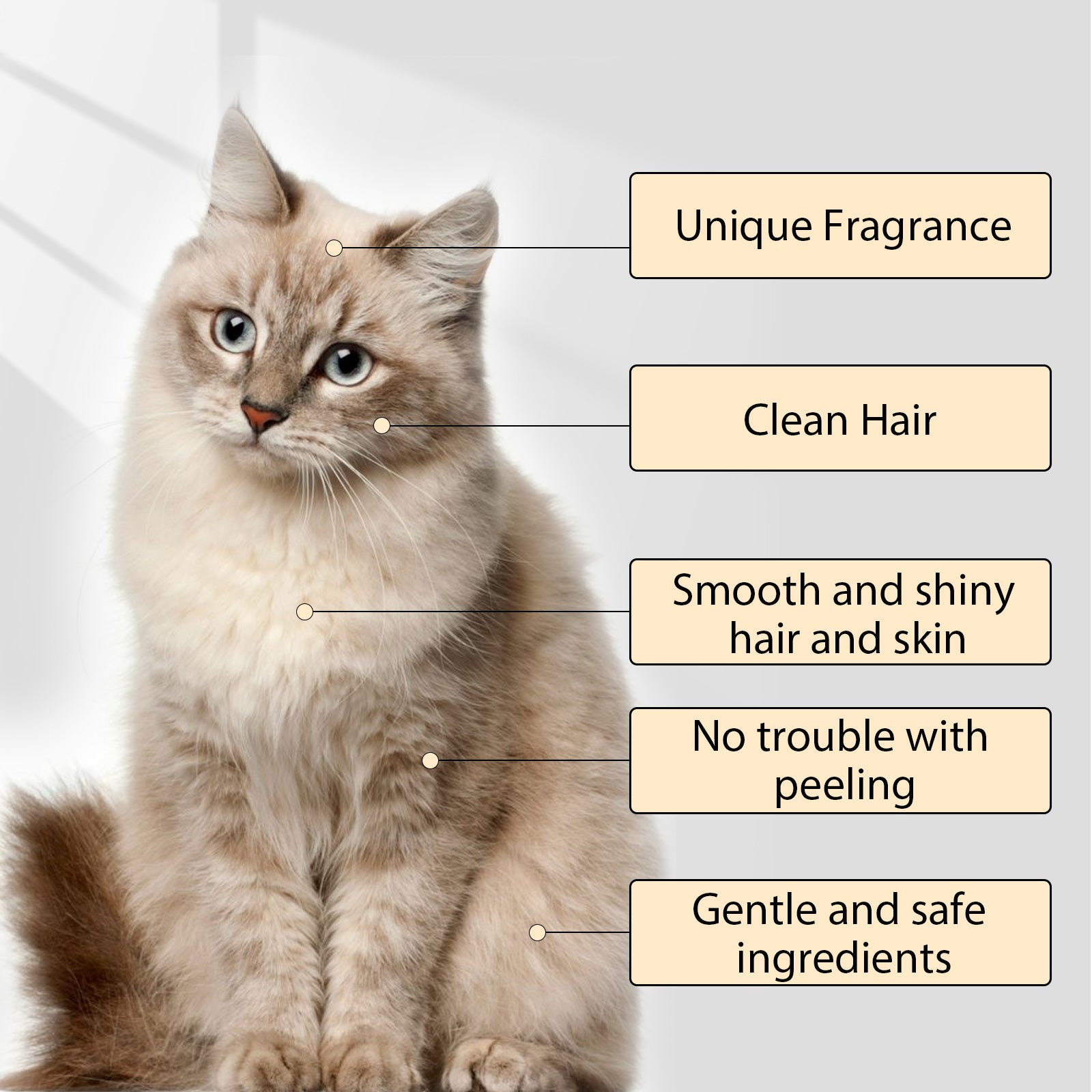 Champô Suave para Cães e Gatos, Amaciador de Pelo para uma Pelagem Macia e sem Nós