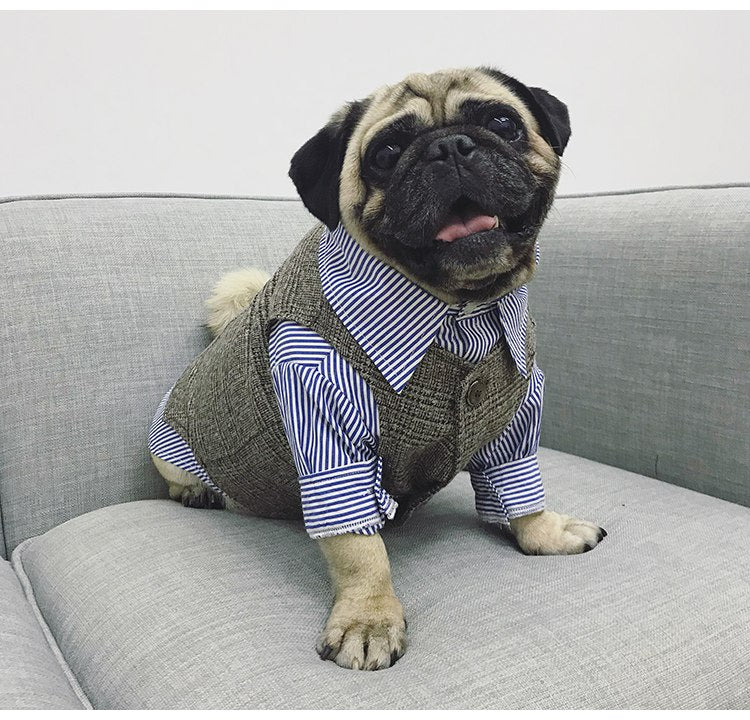 Fato/Smoking Formal para Cães e Gatos Pequenos, Roupa de Festa de Casamento