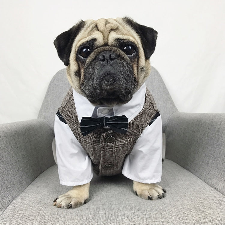 Fato/Smoking Formal para Cães e Gatos Pequenos, Roupa de Festa de Casamento