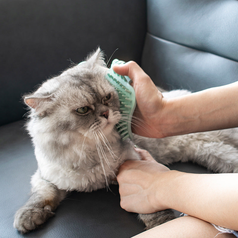 Chat Corner toilettage brosse et Self-Massage jouet pour Wall Corners