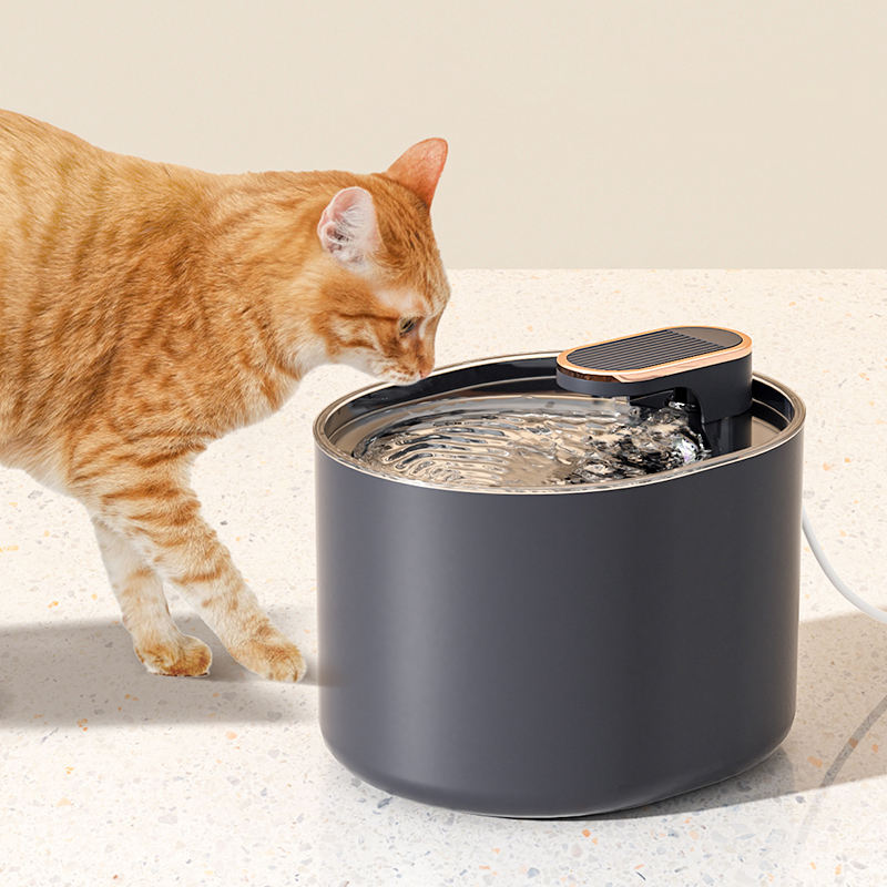 Large-Capacity automatique animal distributeur d’eau pour chats et chiens