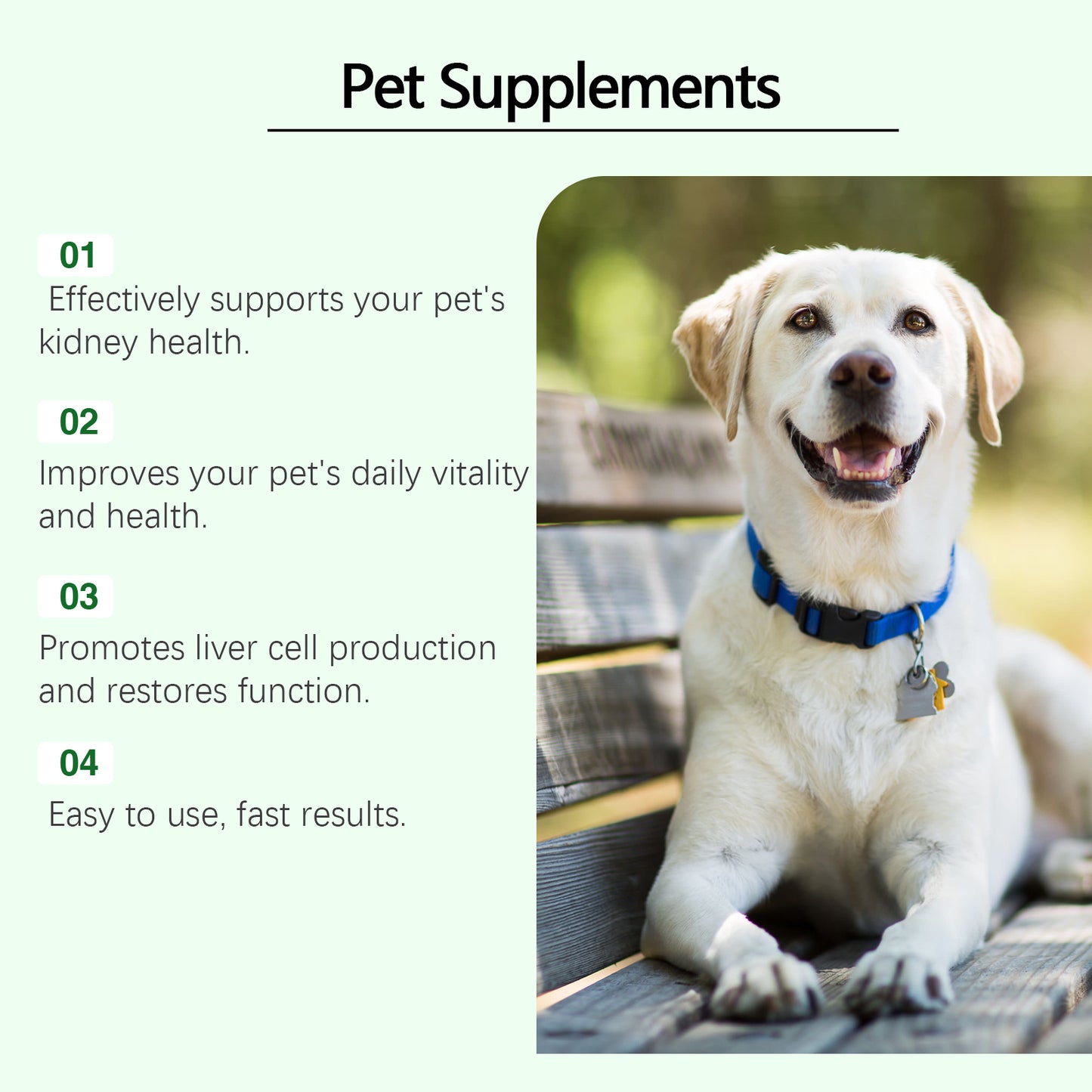 Pet Health Supplement – Gentle Formula to Support Overall Wellness