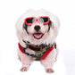 Pet Sunglasses – UV Eye Protection for Dogs & Cats