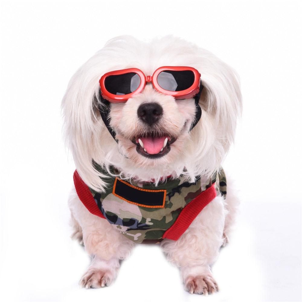 Pet Sunglasses – UV Eye Protection for Dogs & Cats