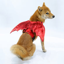 Bat Wing animal harnais Costume avec laisse Attachment pour chiens et chats
