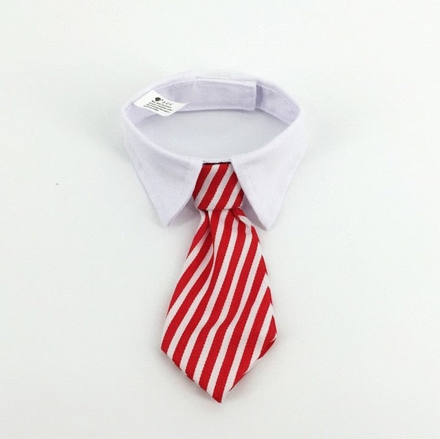 Gravata Borboleta Formal para Cães e Gatos, Acessório de Traje Elegante