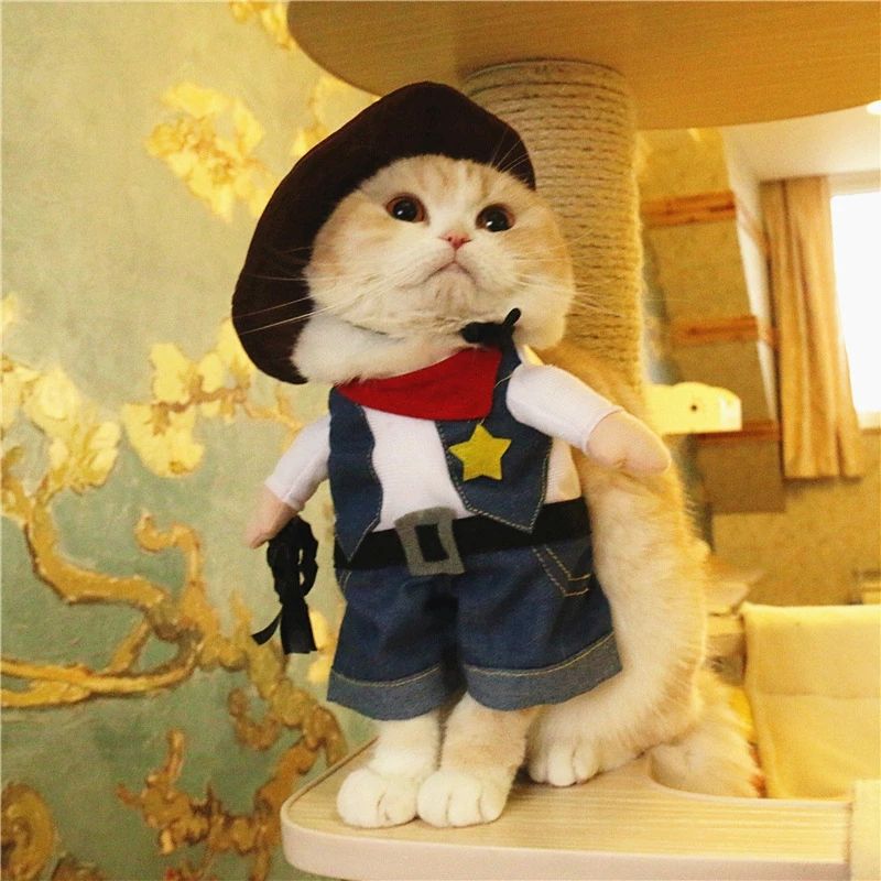 Fato de Cowboy para Cães e Gatos, Traje Engraçado para Encenação