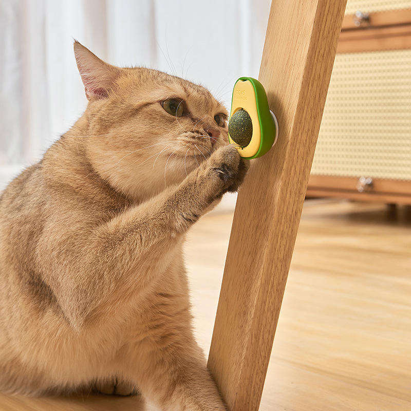 Rotating Catnip Ball jouet avec Avocado Design pour chats