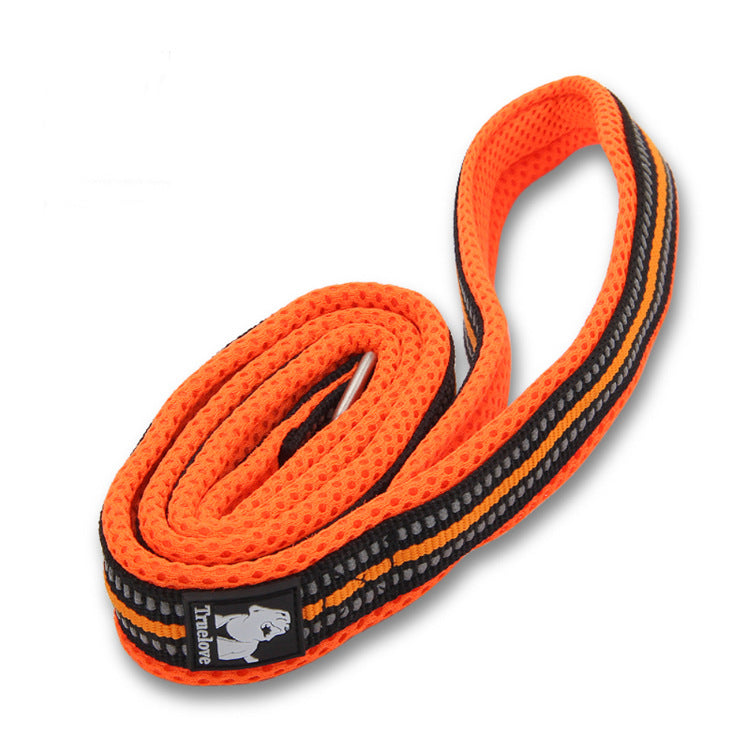 Fluorescent Nylon chien Walking laisse, Bright Color animal Lead pour All chien Sizes
