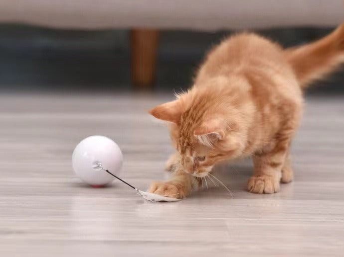 Automatic Cat Smart Toy ball