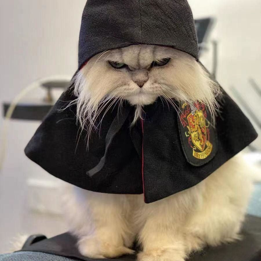 Halloween Pet Cloak – Cute & High-Quality Costume for Dogs & Cats