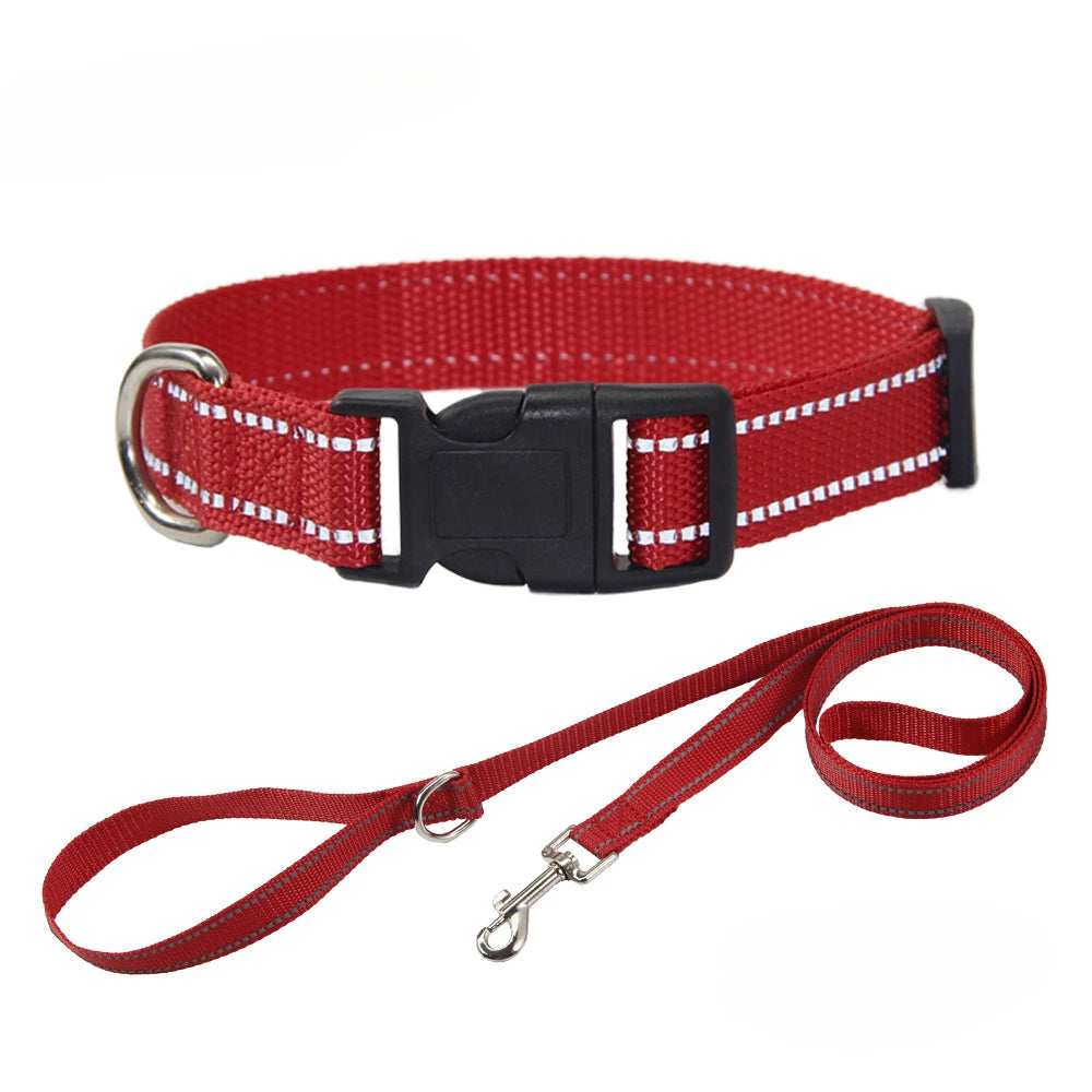 Conjunto de Trela e Coleira de Nylon para Cães Pequenos, Médios e Grandes