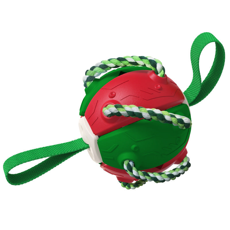 Interactif chien Flying Disc jouet pour d’extérieur Fetch et dressage