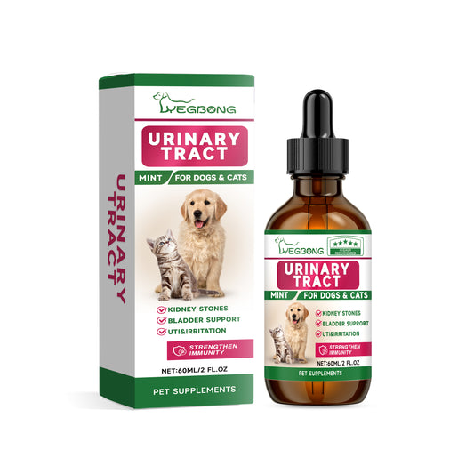 Pet Health Supplement – Gentle Formula to Support Overall Wellness