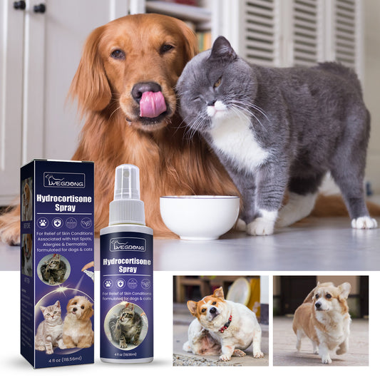 Pet Anti-Itch Spray – Soothing Skin & Fur Care for Mites and Bugs