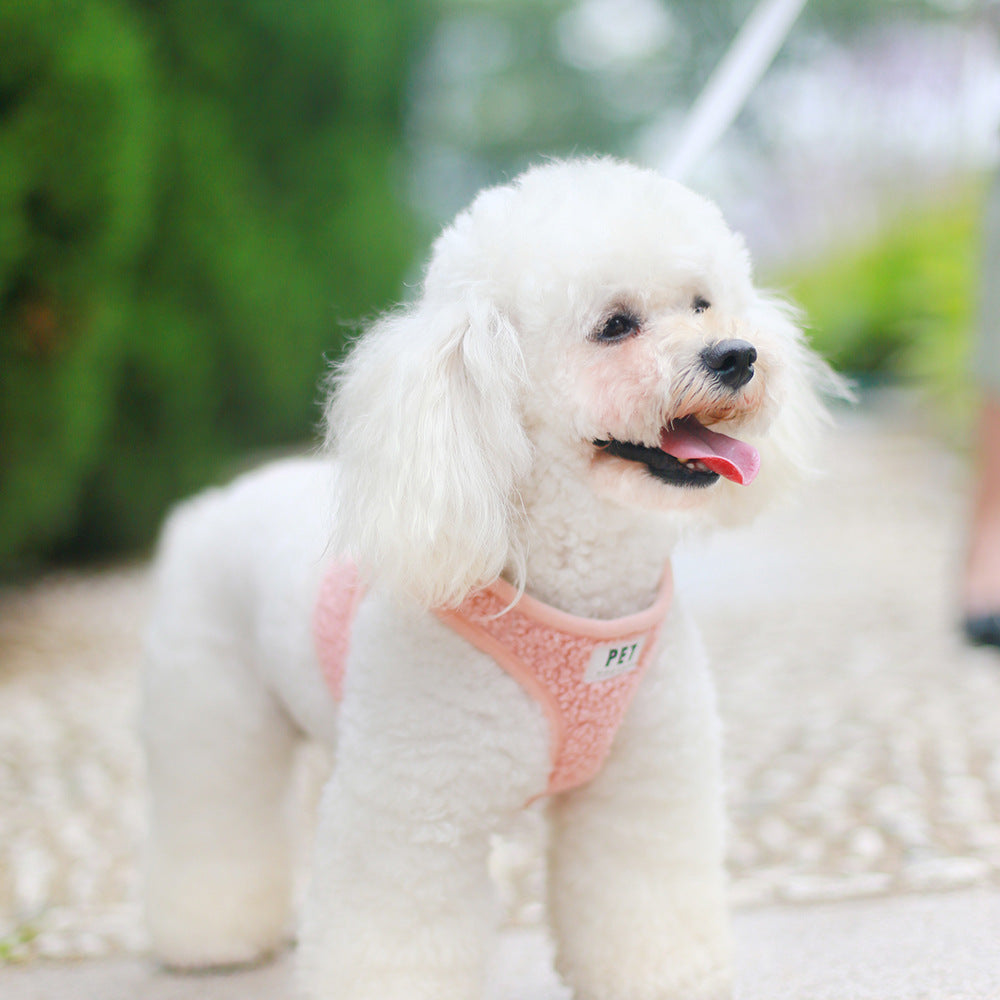 Breathable Dog Harness & Leash Set – Vest-Type Rope for Small & Medium Pets